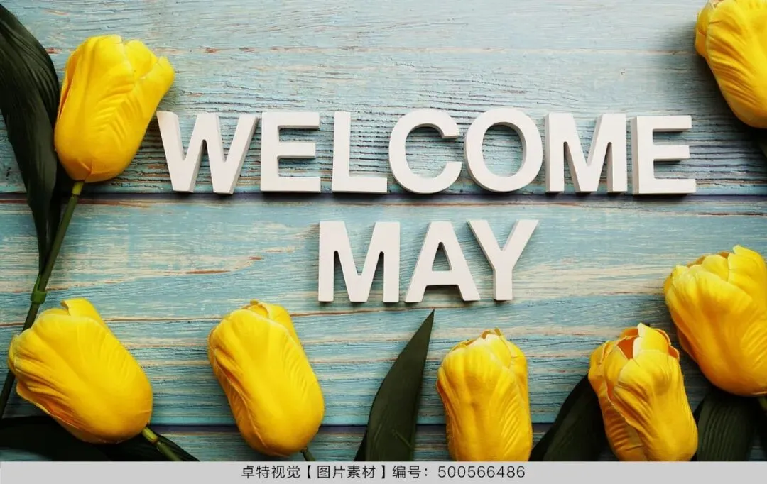 5月营销创意灵感看这里 | 卓特视觉精选图片素材