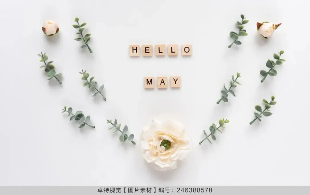 5月营销创意灵感看这里 | 卓特视觉精选图片素材