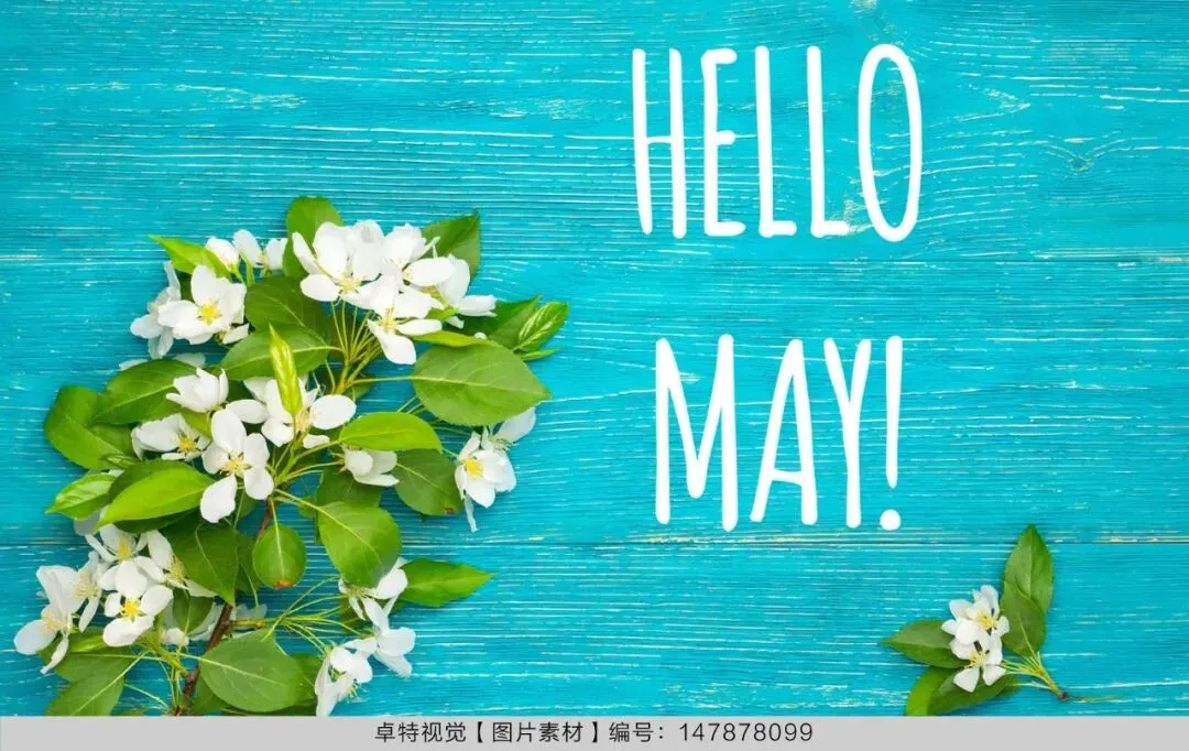 5月营销创意灵感看这里 | 卓特视觉精选图片素材