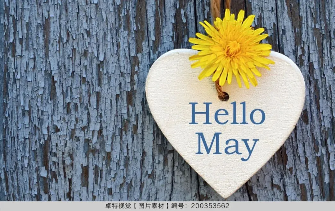 5月营销创意灵感看这里 | 卓特视觉精选图片素材