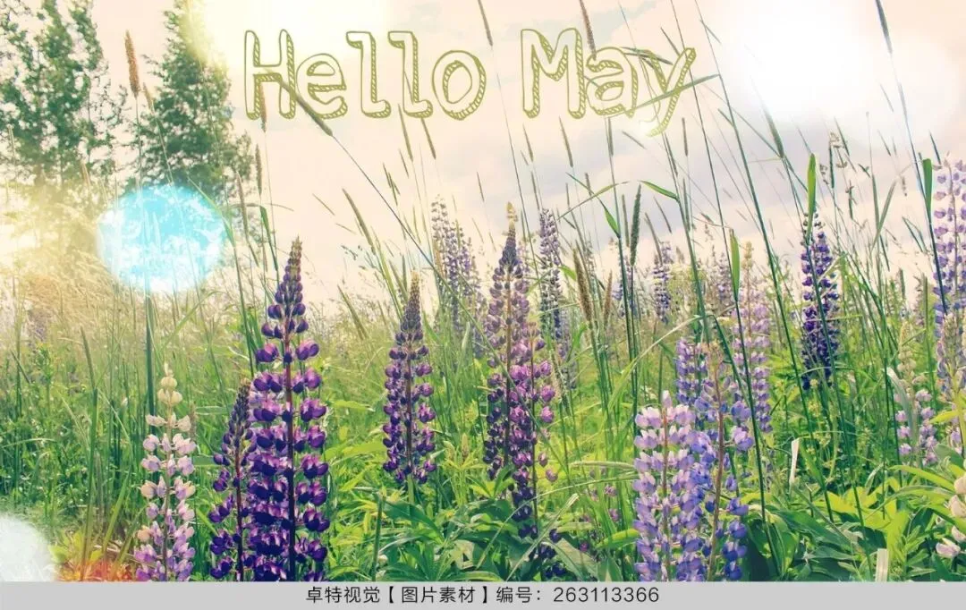 5月营销创意灵感看这里 | 卓特视觉精选图片素材