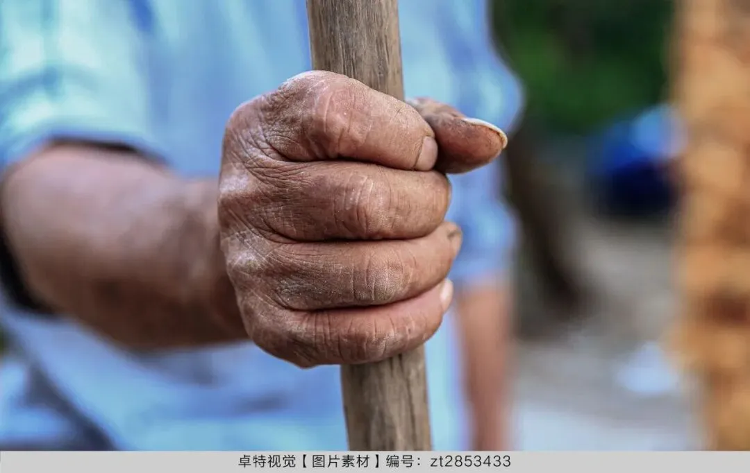 5月营销创意灵感看这里 | 卓特视觉精选图片素材