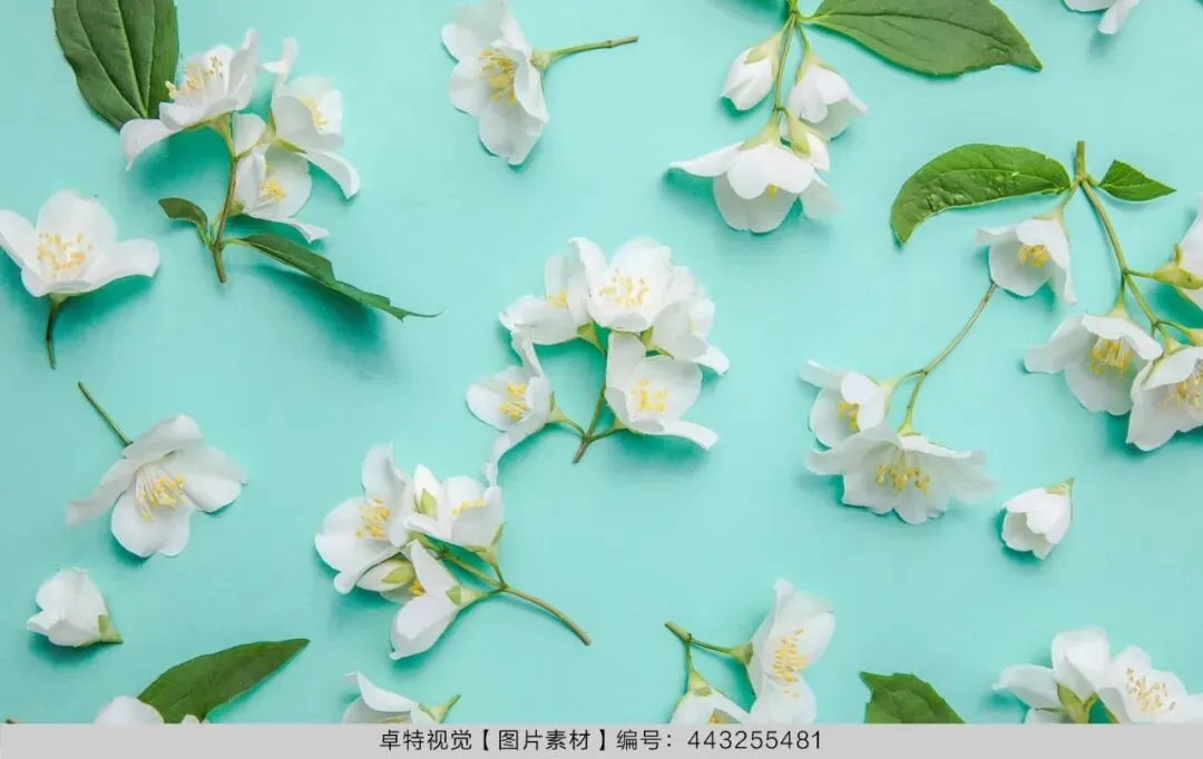 5月营销创意灵感看这里 | 卓特视觉精选图片素材