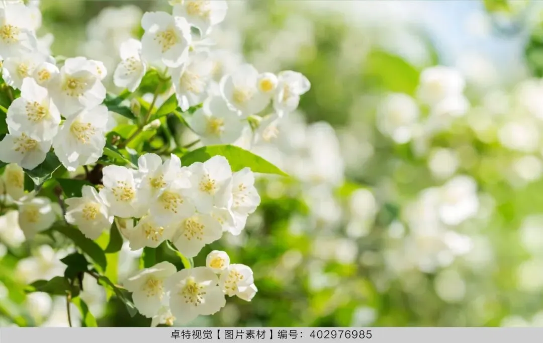 5月营销创意灵感看这里 | 卓特视觉精选图片素材