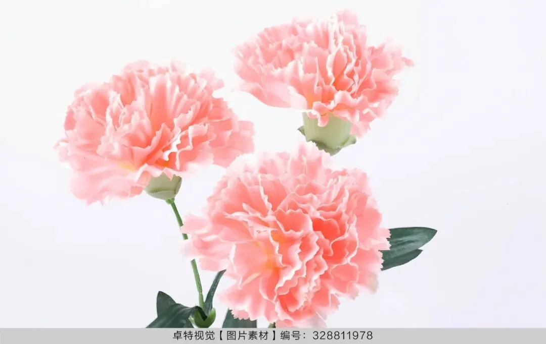 5月营销创意灵感看这里 | 卓特视觉精选图片素材