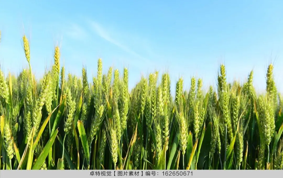 5月营销创意灵感看这里 | 卓特视觉精选图片素材