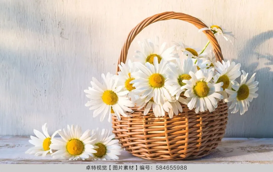 5月营销创意灵感看这里 | 卓特视觉精选图片素材