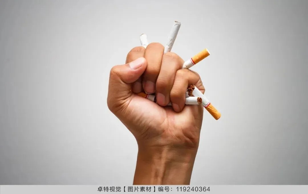 5月营销创意灵感看这里 | 卓特视觉精选图片素材