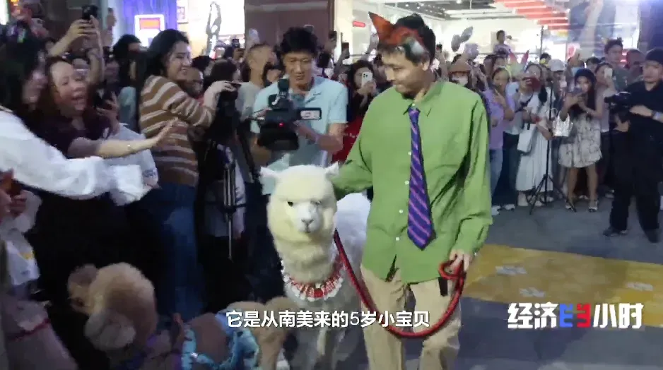 体验拉满!超220000亿元大市场,爆发!