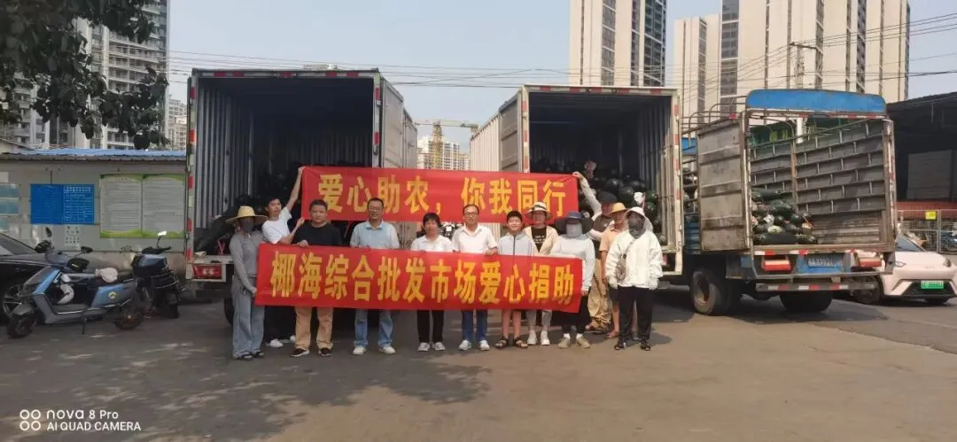 爱心助农|椰海市场采购旧州滞销冬瓜,既暖乡村又稳菜篮