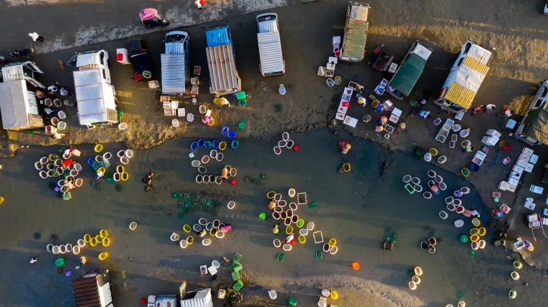 涨潮出海,退潮开锅!湛江“预约制”海鲜市场现捞现吃