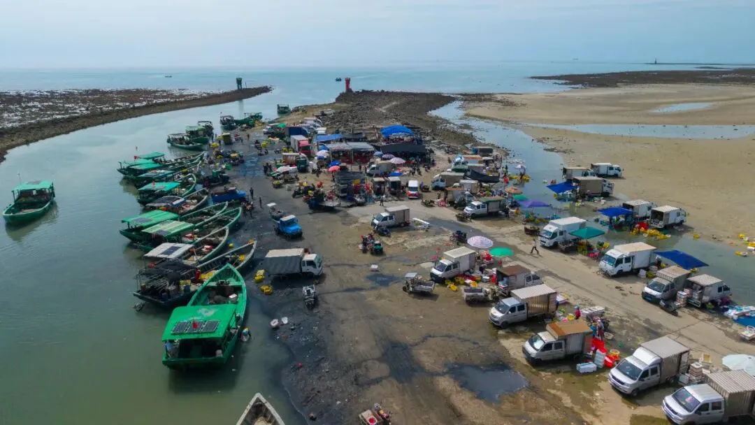 涨潮出海,退潮开锅!湛江“预约制”海鲜市场现捞现吃