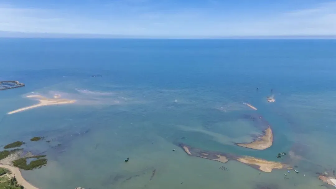 涨潮出海,退潮开锅!湛江“预约制”海鲜市场现捞现吃