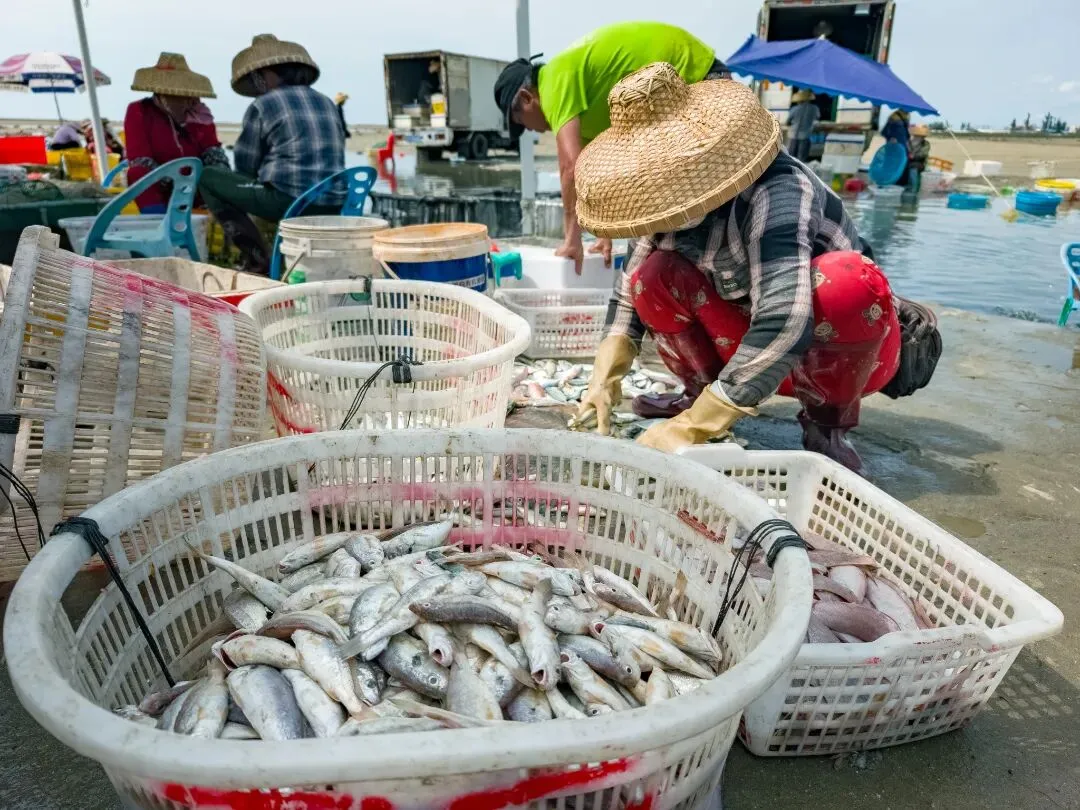 涨潮出海,退潮开锅!湛江“预约制”海鲜市场现捞现吃
