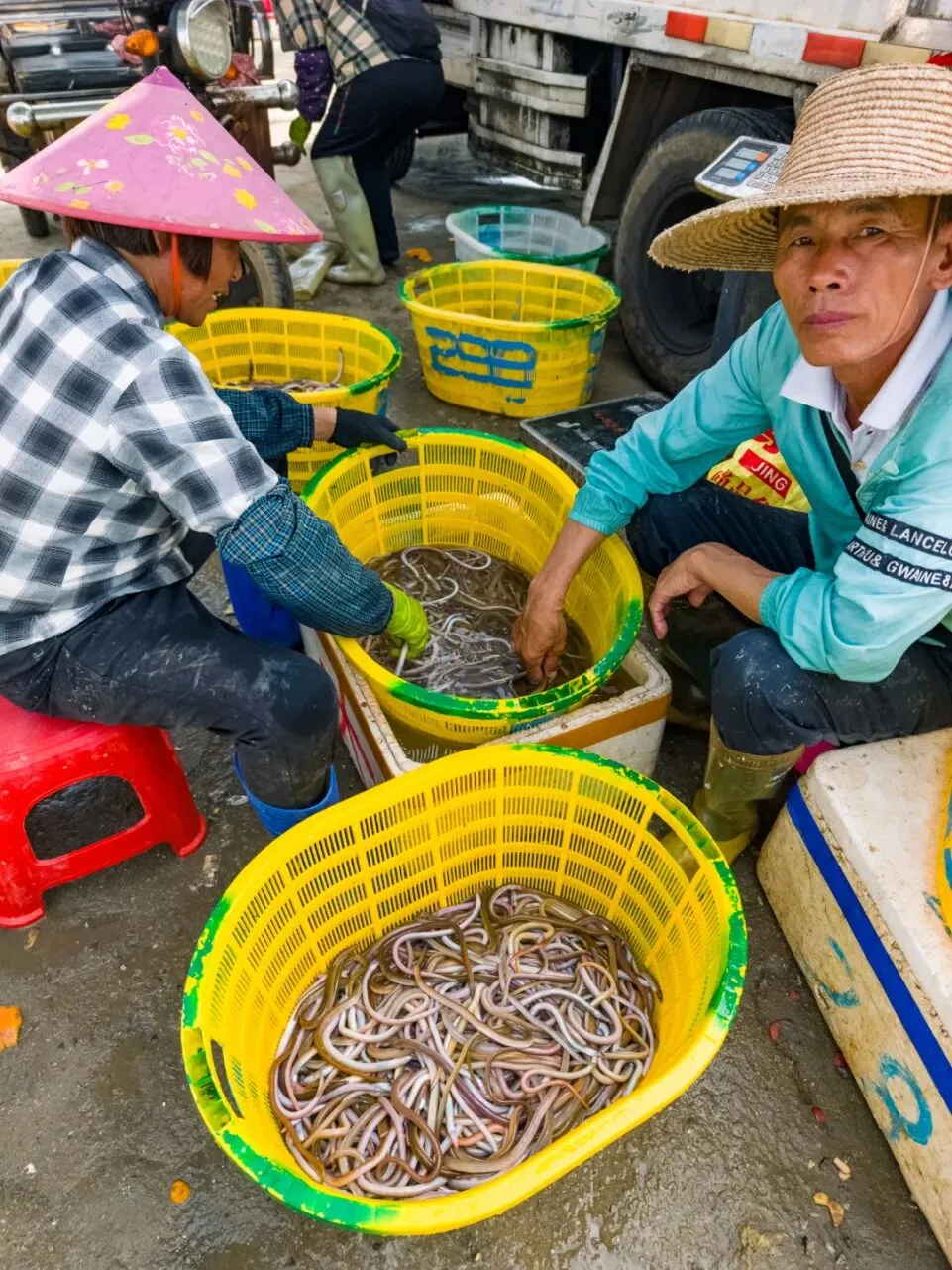 涨潮出海,退潮开锅!湛江“预约制”海鲜市场现捞现吃