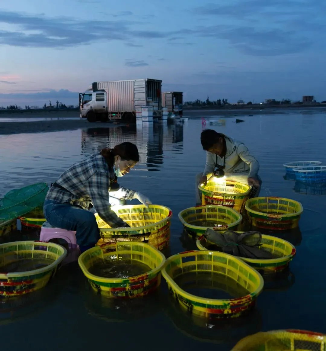 涨潮出海,退潮开锅!湛江“预约制”海鲜市场现捞现吃