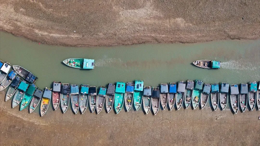 涨潮出海,退潮开锅!湛江“预约制”海鲜市场现捞现吃
