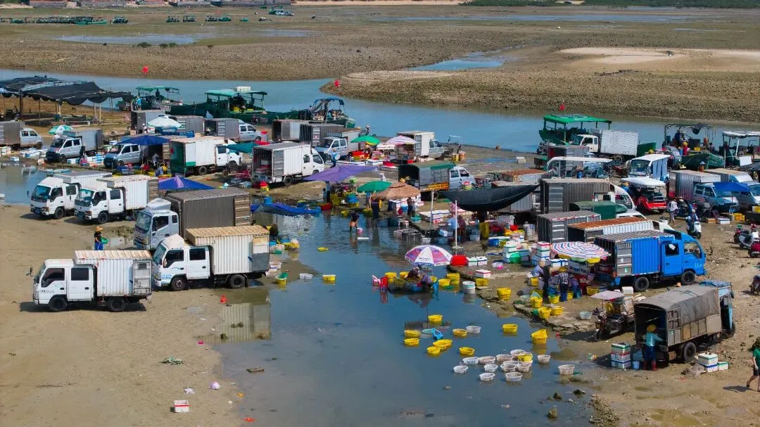 涨潮出海,退潮开锅!湛江“预约制”海鲜市场现捞现吃
