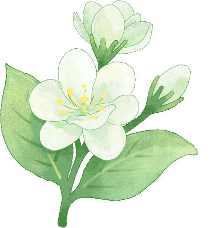 4月15日中午,安丘市场,价格平稳!