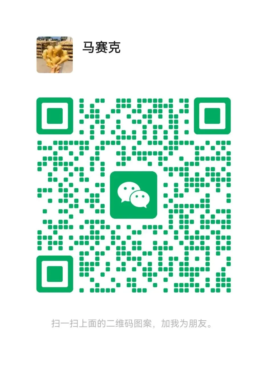 4月15日安丘生姜市场上货少,卖主主动均价1毛没要的,主流货1.4元左右