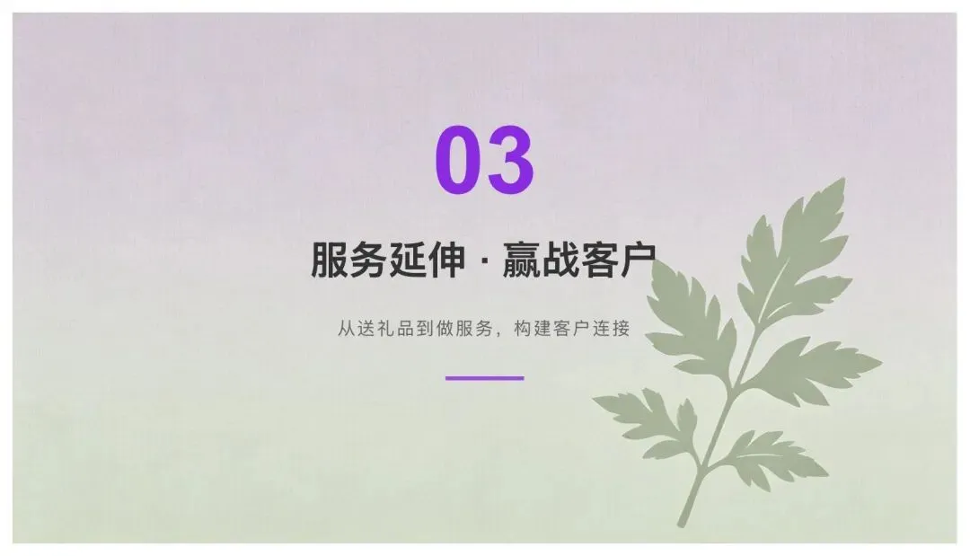 养生套装母亲节营销方案