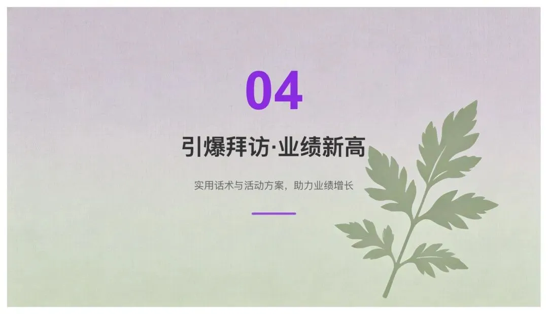 养生套装母亲节营销方案