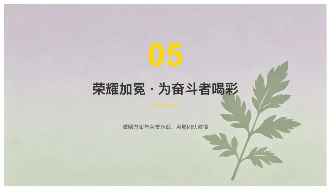 养生套装母亲节营销方案