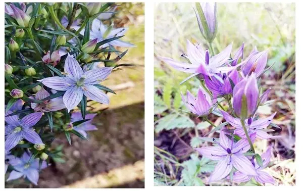 助力区域性专业会议 推动学术营销下沉