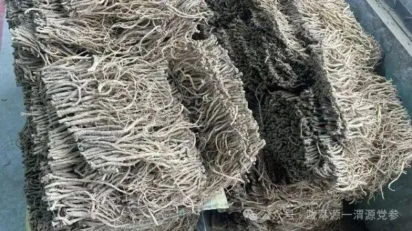 2026年4月15日首阳中药材市场快讯