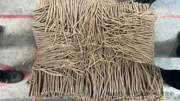 2026年4月15日首阳中药材市场快讯