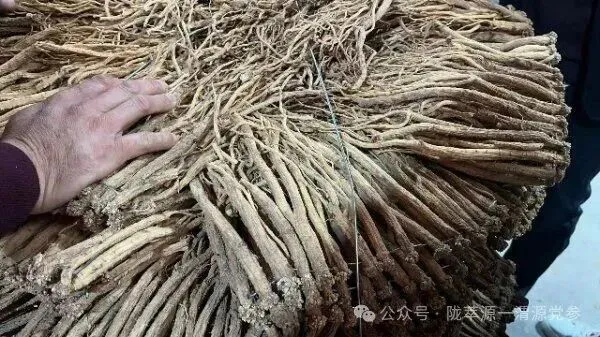 2026年4月15日首阳中药材市场快讯