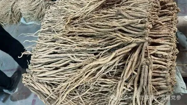 2026年4月15日首阳中药材市场快讯