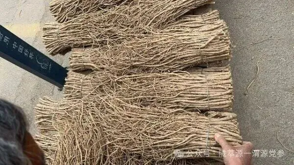 2026年4月15日首阳中药材市场快讯