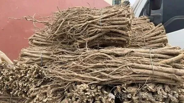 2026年4月15日首阳中药材市场快讯