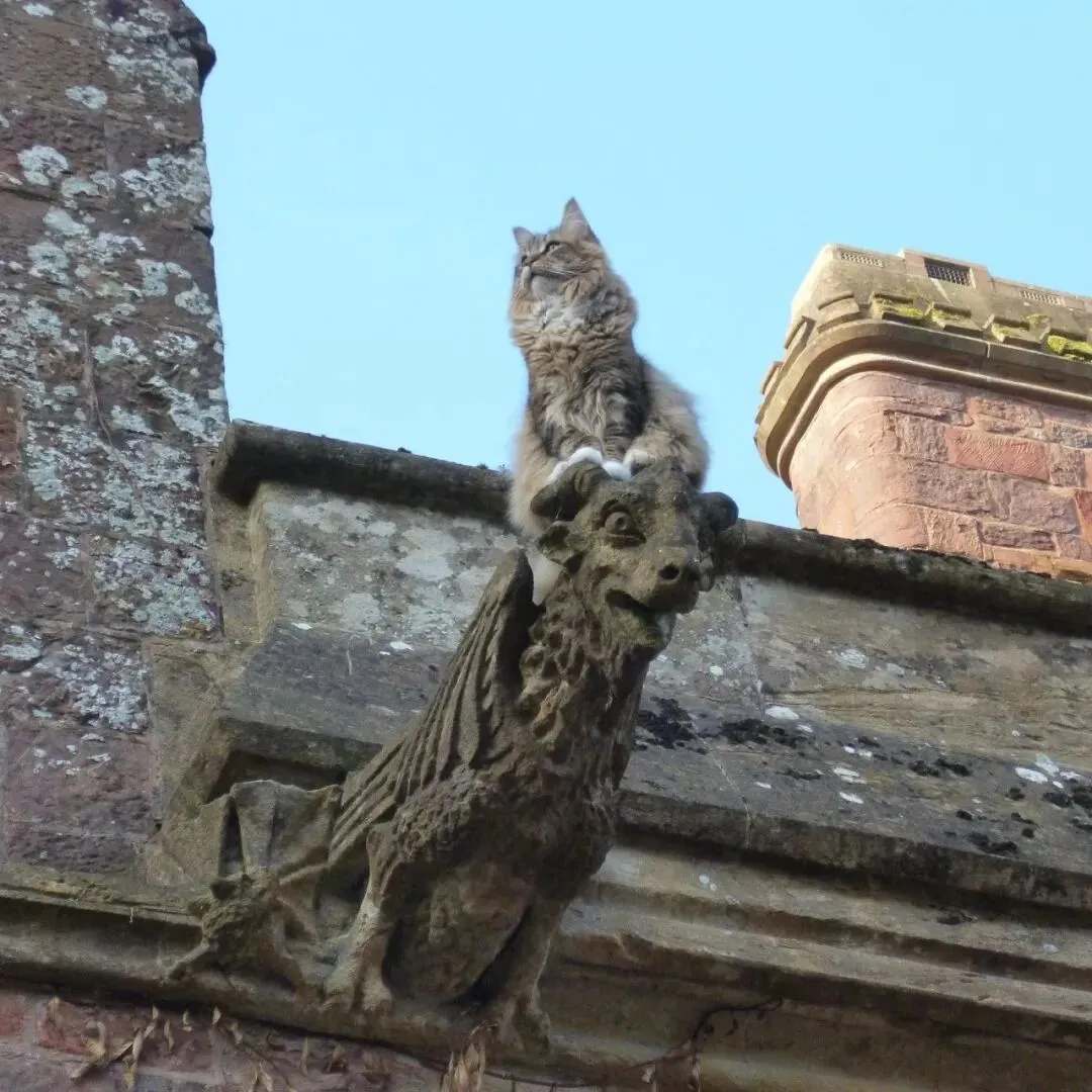 谈谈5月的演出市场:这密度简直让人叫救命,关键是有好多想听的演出