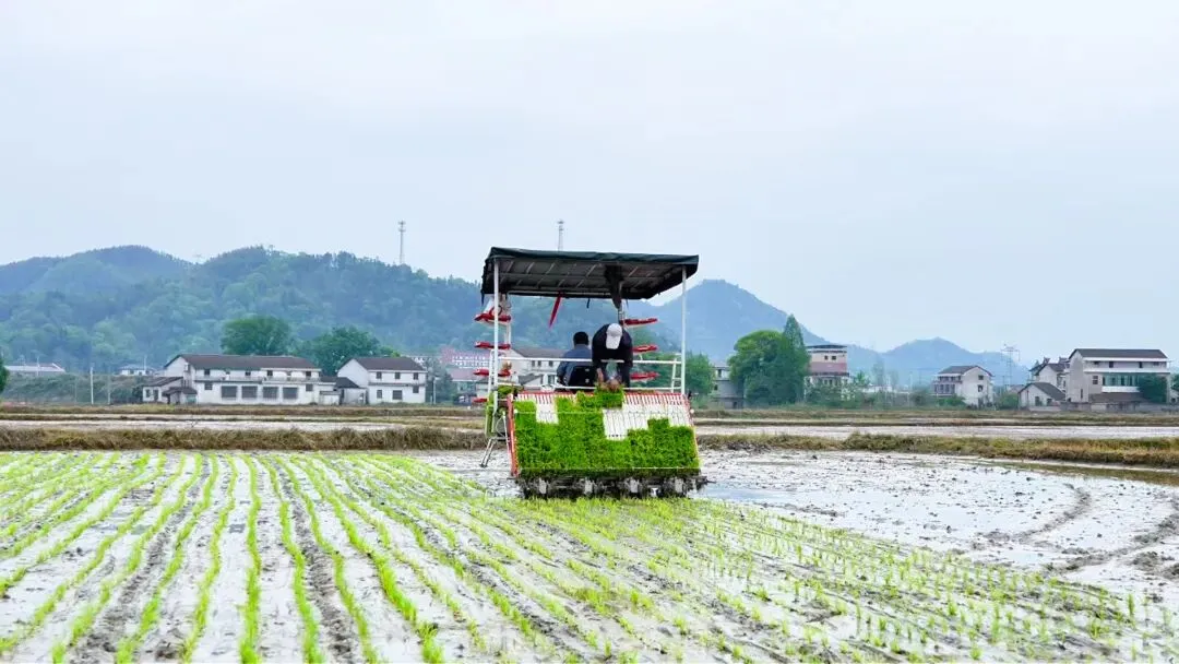 【市场】春耕看“新” | 湘北高标准农田里的智慧春景