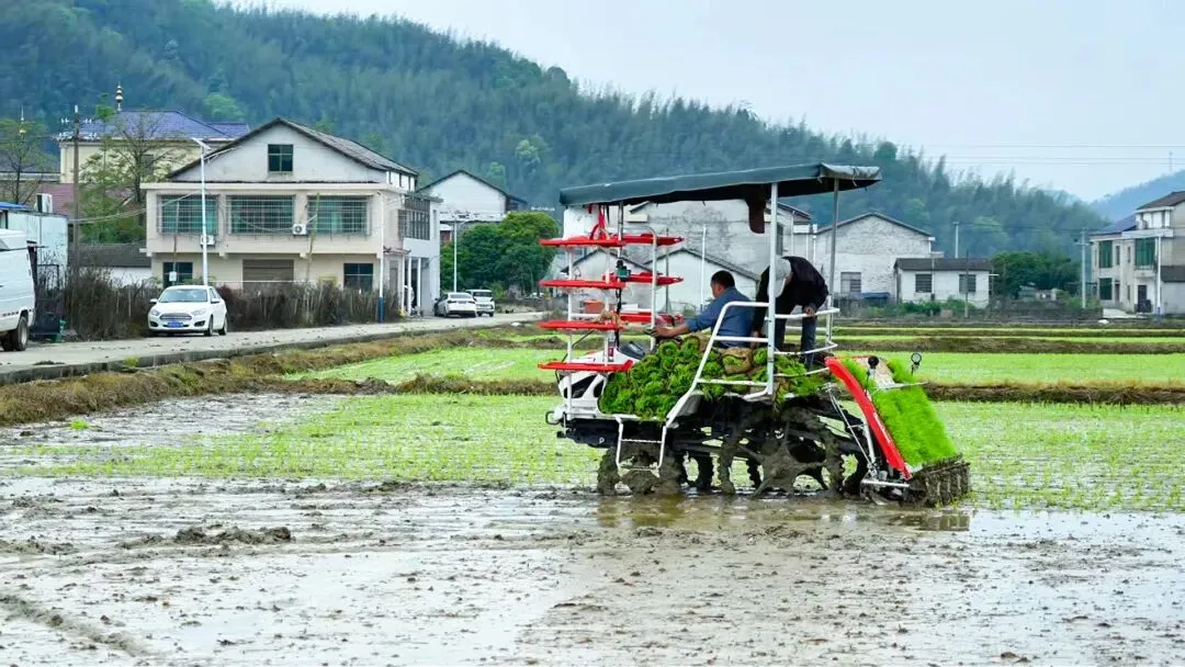 【市场】春耕看“新” | 湘北高标准农田里的智慧春景