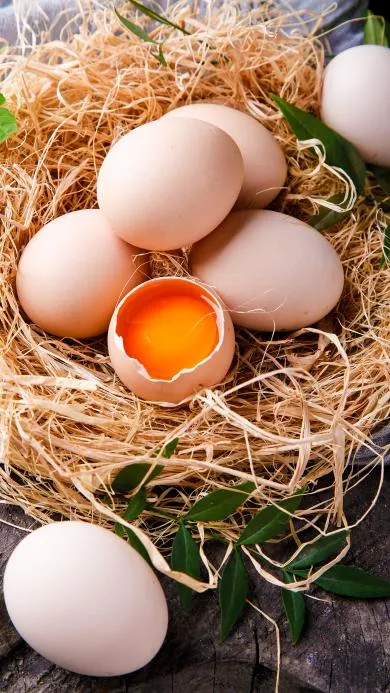 花胶夺权鸡蛋,养生营销的韭菜局该收手了