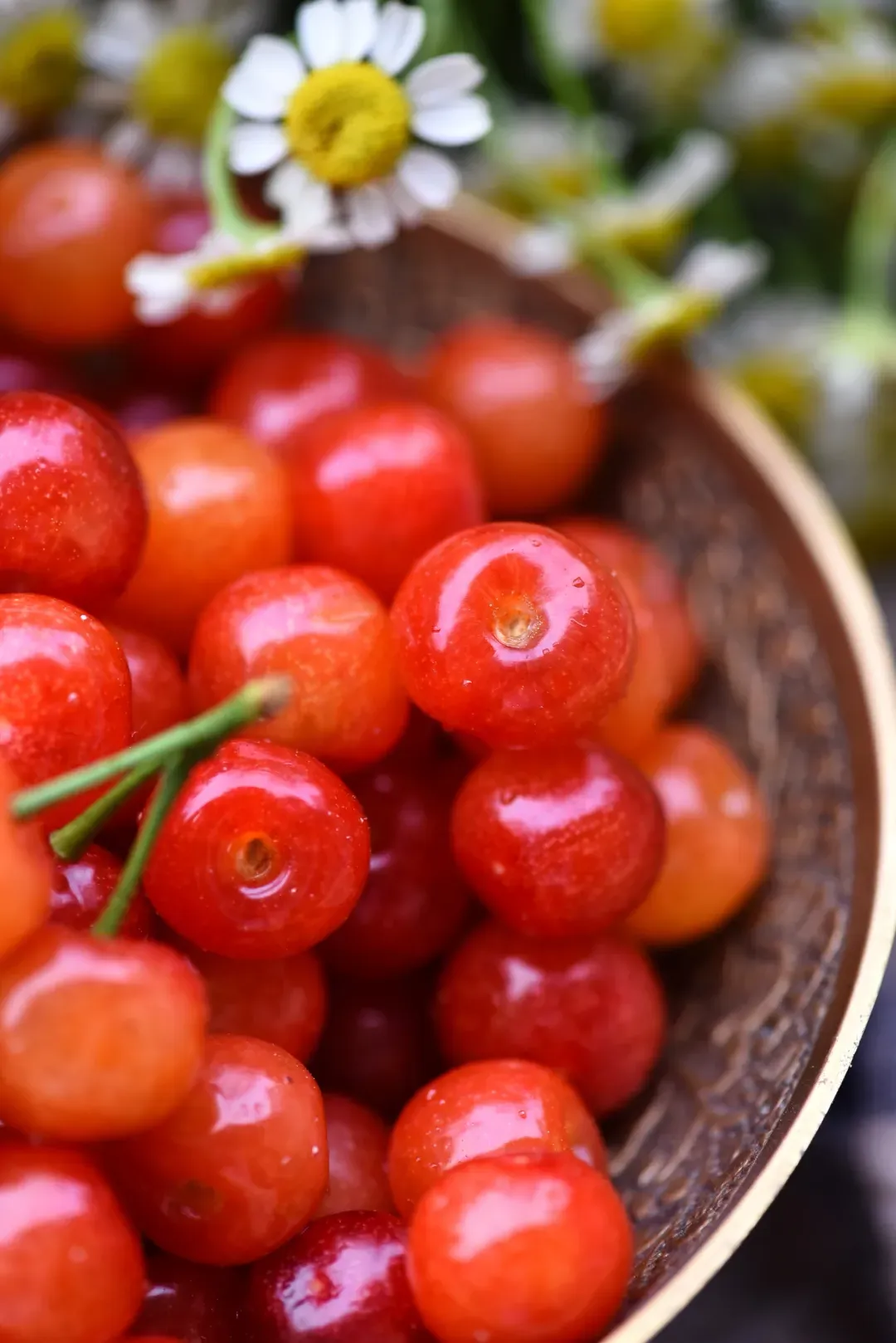 好吃到封神!秒杀市场货的西昌小樱桃,今天摘明天到,果味超浓郁!