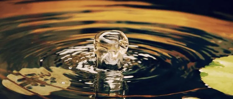 情绪营销:地产营销的终极答案