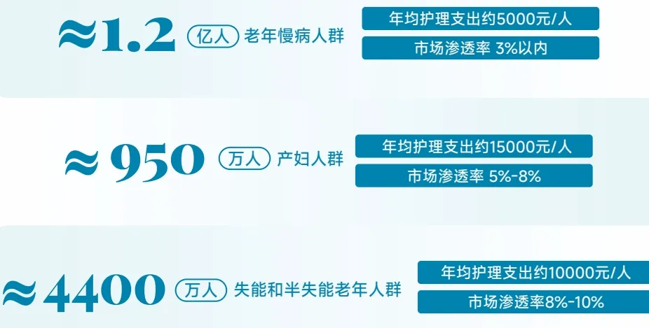 中国居家护理服务市场分析