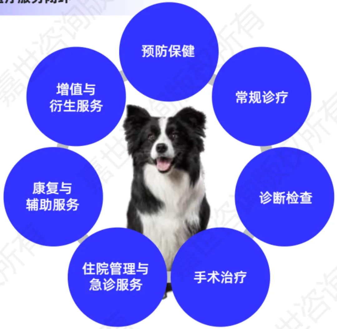 中国宠物医疗行业市场分析