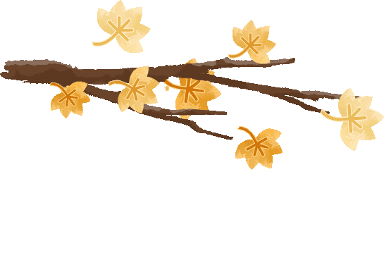 陆良菜农速看!4.14广州江南市场菜价差出炉