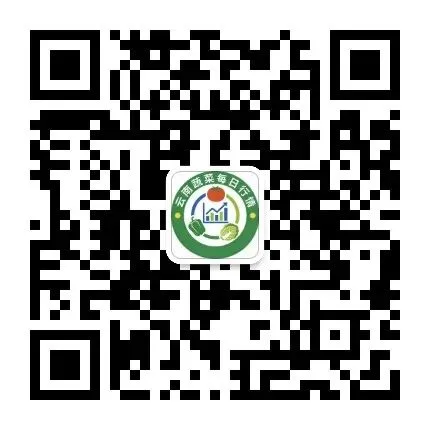 陆良菜农速看!4.14广州江南市场菜价差出炉