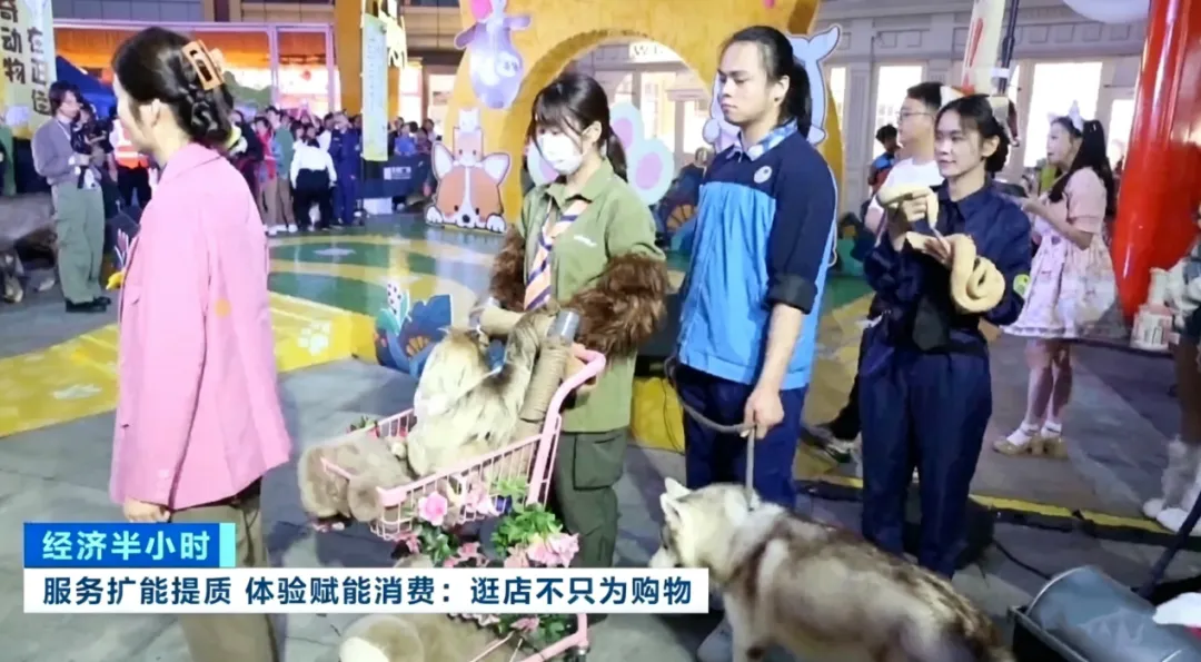 体验拉满!超220000亿元大市场