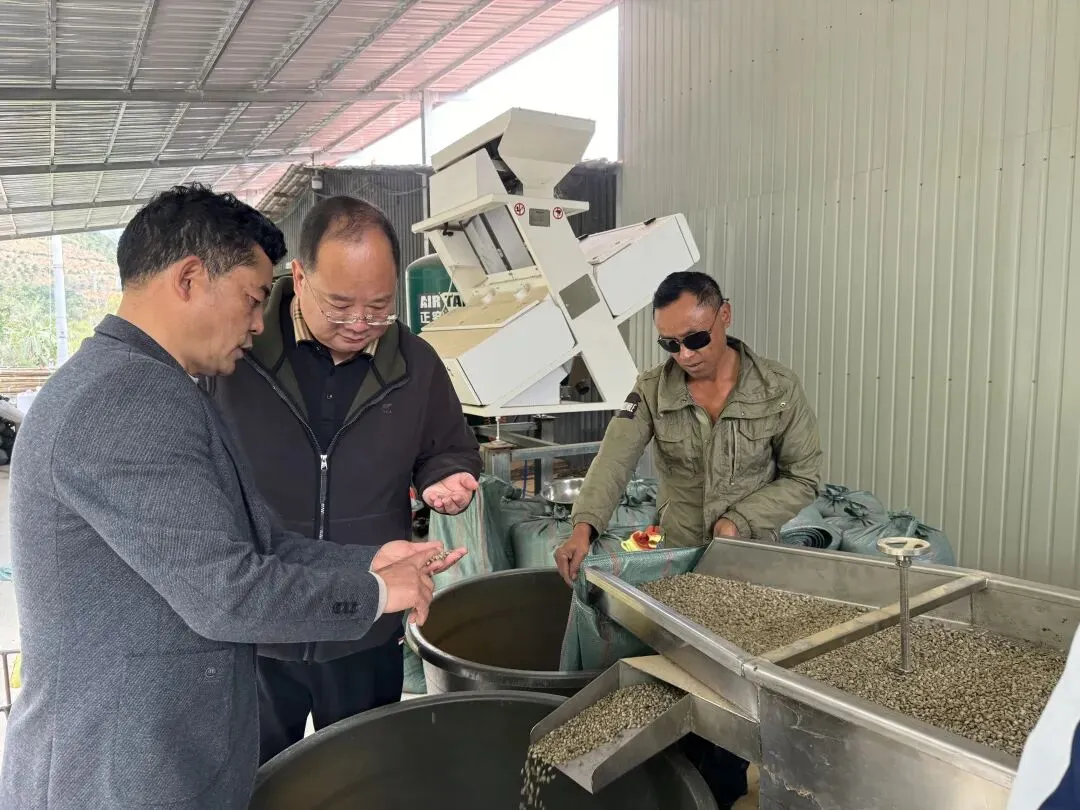 从深山到市场:看→金融如何让怒江精品咖啡“咖”位升级