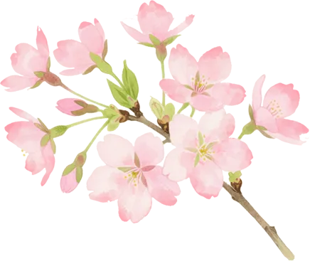 消保提示|关于防范无资质引流金融网络营销套路