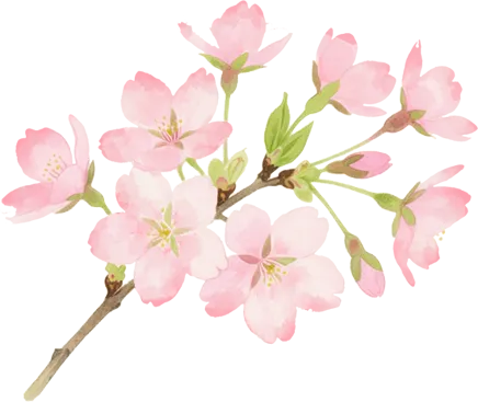 消保提示|关于防范无资质引流金融网络营销套路