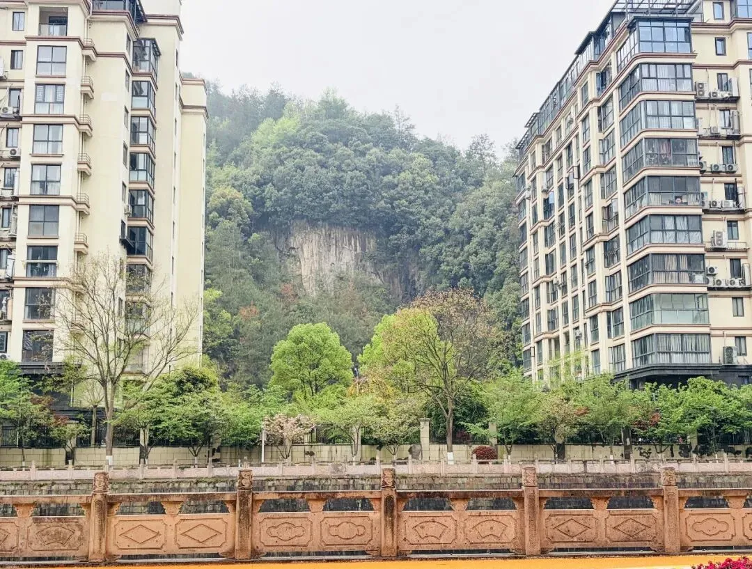 磐安 || 安文蔬菜市场-昌文塔-墨林村-大盘山博物馆