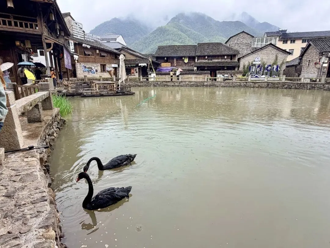 磐安 || 安文蔬菜市场-昌文塔-墨林村-大盘山博物馆